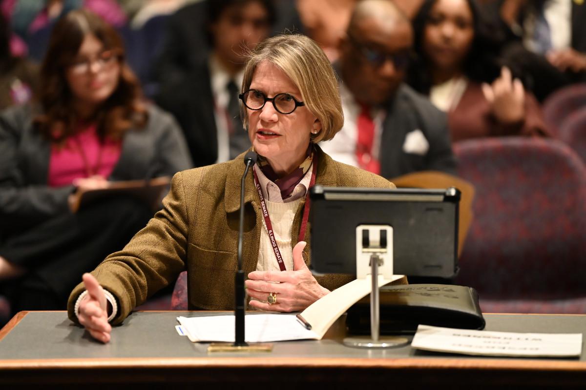 Senator Glowiak Hilton speaks while seated during a committee hearing.